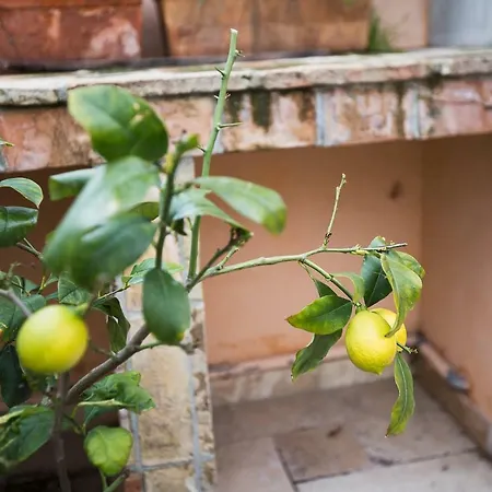 Chateau Clemenceau Lägenhet Antibes