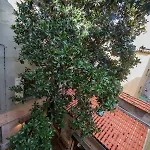 Appartement Chateau Clemenceau Antibes