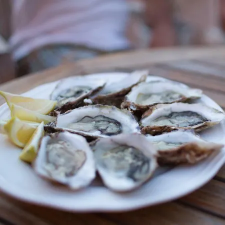 Chateau Clemenceau *