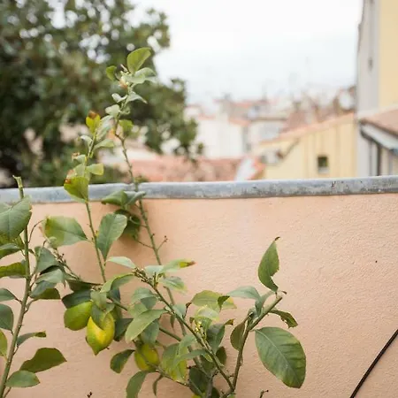 Apartamento Chateau Clemenceau *