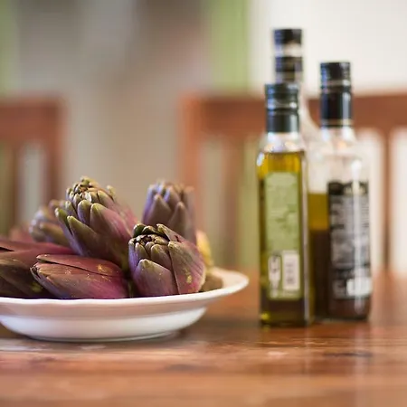 Chateau Clemenceau أنتيب