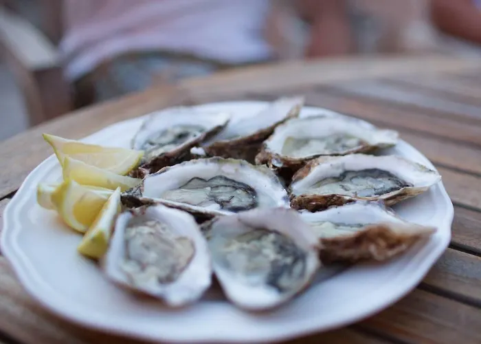 Chateau Clemenceau *